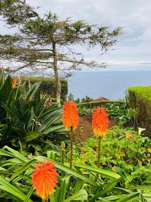 Azor International Apartment II Ponta Delgada Kültér fotó