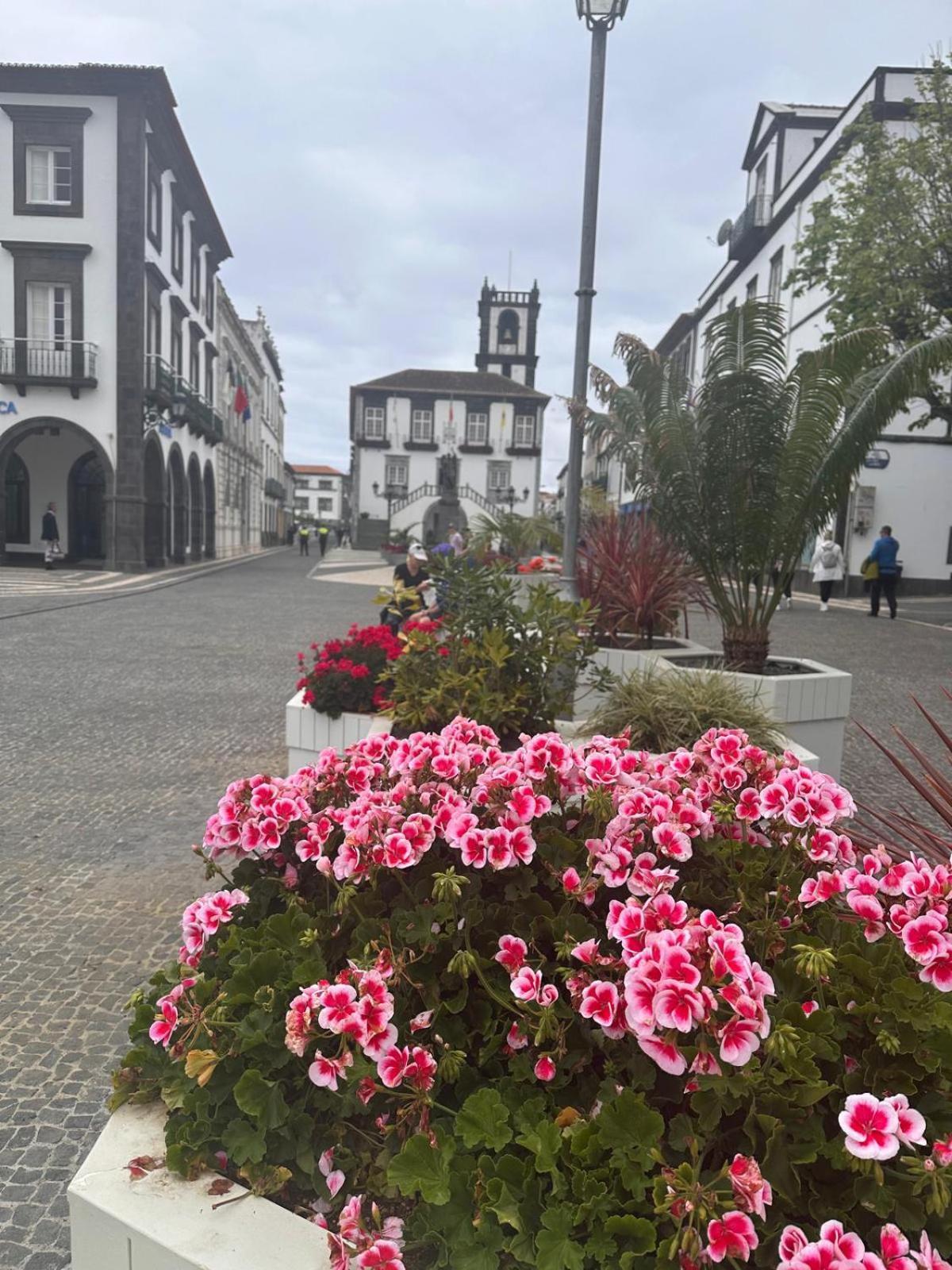 Azor International Apartment II Ponta Delgada Kültér fotó